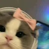 v_789.v