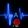 ak_ram28.28