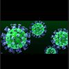 coronavirus19_6