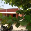 marceltidatoa
