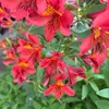 ange888.com