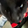wasted_lilly