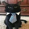 username_171309