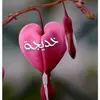 khadijakhoukha86