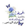 ahmadalroumi818