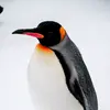 penguin_bonemarrow