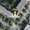 el_capitanos._.lion_107