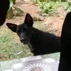 ơ chị Khúc . vk chị đâu ????