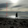 Code Reader16