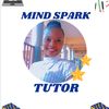 mindsparkacademyhub