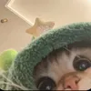 ️