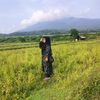 ade_collection74