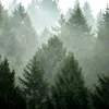 ab__475