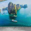 trnglquang207