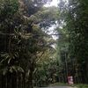 sptra_l1