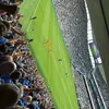 lewiscoxy538