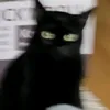 lavendula_witch