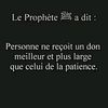 user49985735181106