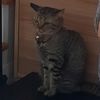 kaisorn.srime