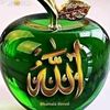 amino.abdi.0