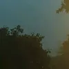 viina_pudel
