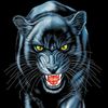 lionintiktok