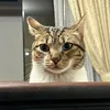 tuka_1027