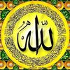 user161123444500