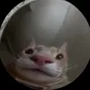 einfaschsteve