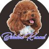 bidadari.kennel.solo