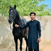 aqibali11_jhang