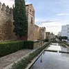 carsu1