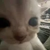 moramo_r