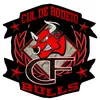 ciacfbulls