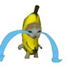 rainhardwantania09