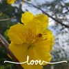 www.tiktok.winwill.89