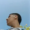 little_ice__