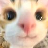 ifitmatters42