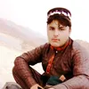 nawargulbettani
