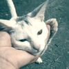 arun_chamling_11