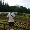 chard08042