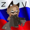 fan_dmitriy_mashel