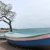 chapi2404