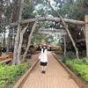 hanguyen.52