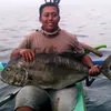 sonydyo