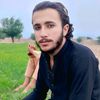 zulfiqardawar.1