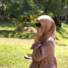 rosdiah87