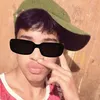 tanfox1