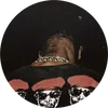pitchblxk