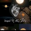 user6216308656223